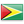 Bandera de Guyana