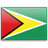 Bandera de Guyana